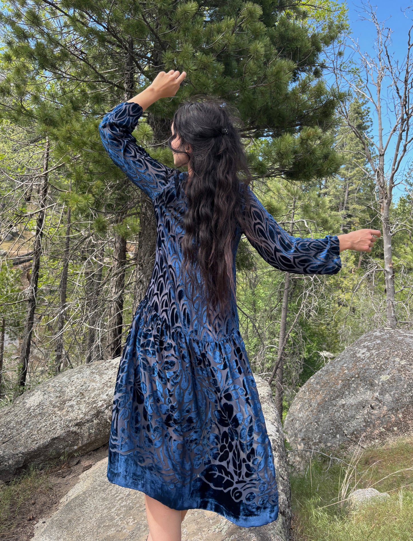 1920s silk velvet devoré drop waist dress