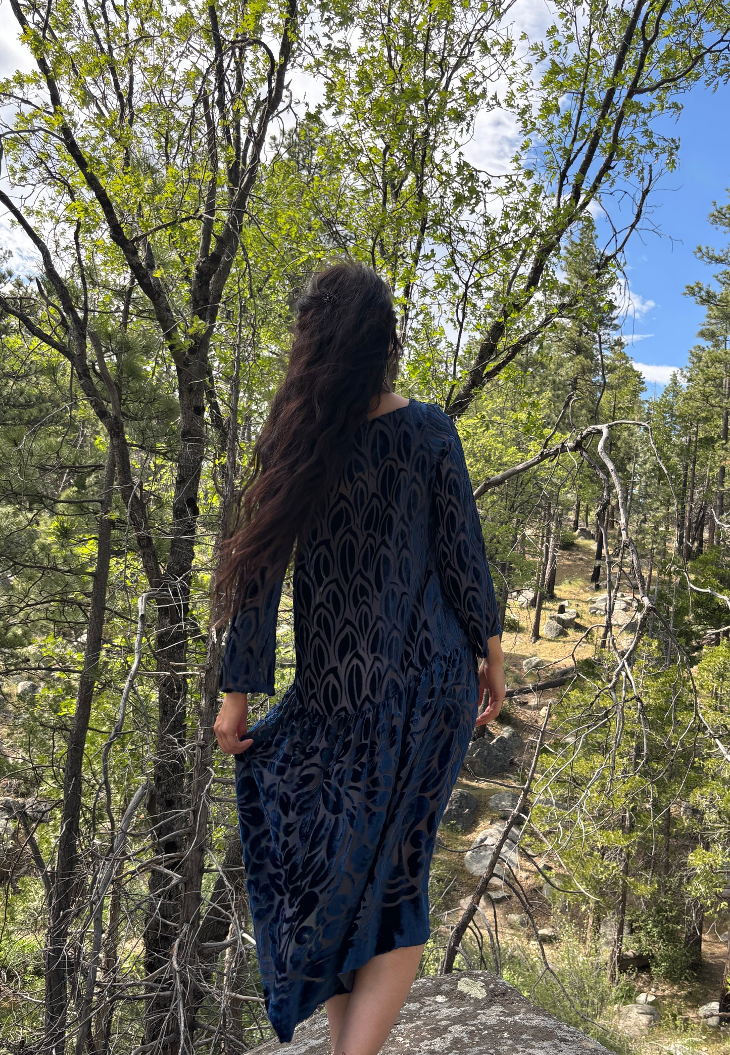 1920s silk velvet devoré drop waist dress