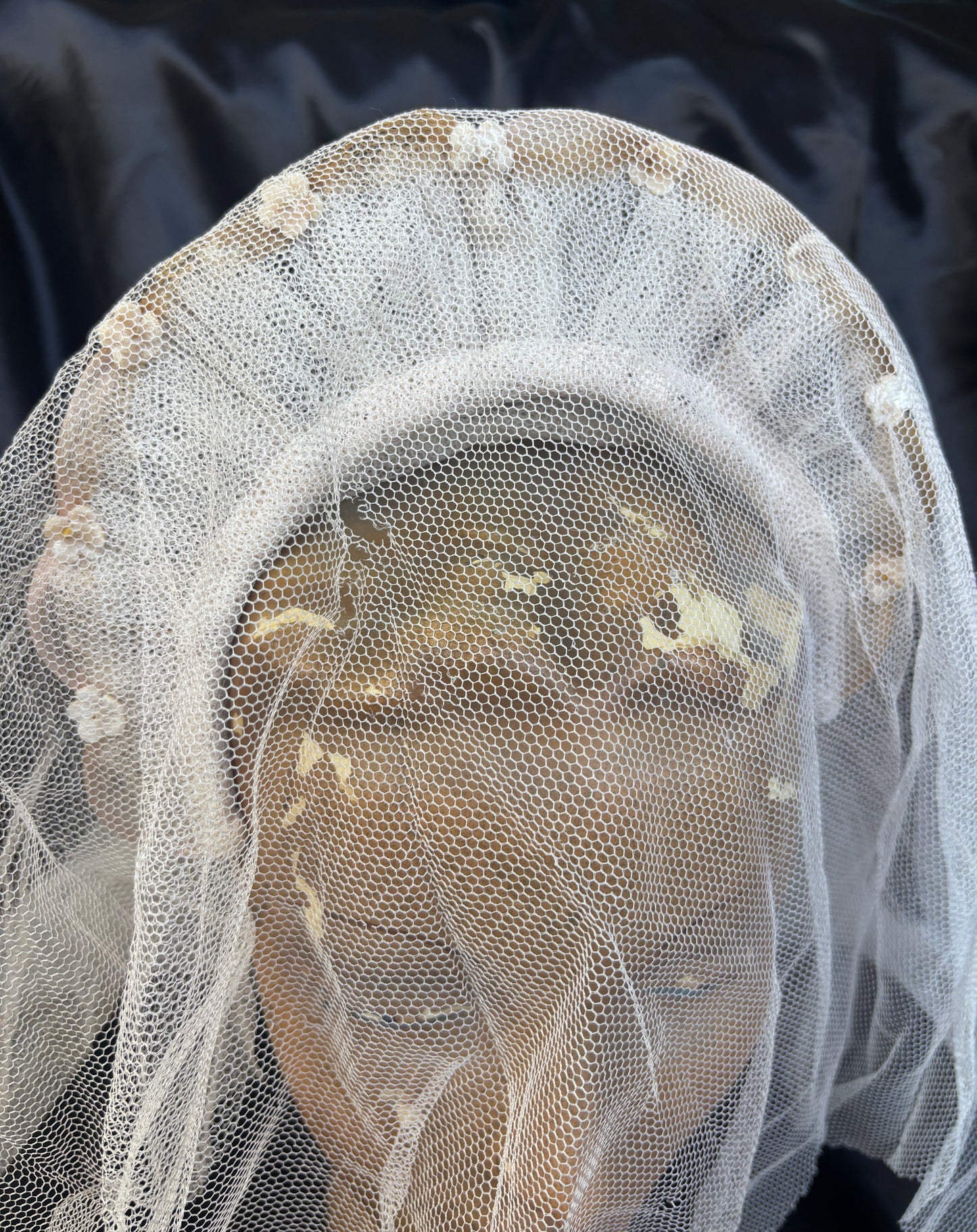 1940s veiled bridal halo crown with velvet orange blossoms
