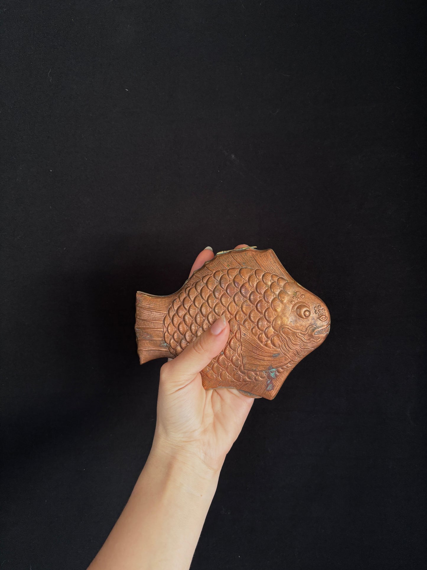 Copper fish compact mirror